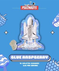 https://officialpsilonaut.com