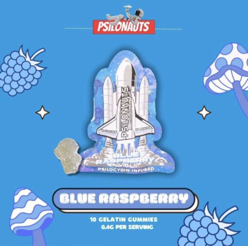 https://officialpsilonaut.com